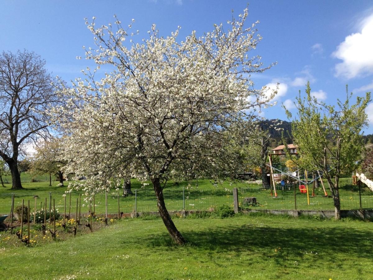 Bed and Breakfast Le Pre Juriens Экстерьер фото